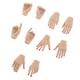 thumbnail image 1 of 5 pares de manos a escala 1/6, modelos de manos, partes del cuerpo femenino para accesorios de figuras de 12'' Trigo, 1 of 9