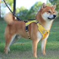 thumbnail image 3 of No Pull Dog Harness Adjustable Reflective Oxford Easy Control Small Medium Large Dog Harness, 3 of 5