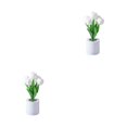 thumbnail image 1 of Cateissary Ambiente tranquilo y relajante con ingeniosa lámpara de flores luz nocturna ajustable 5 cabezas blancas 2Conjunto, 1 of 6