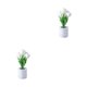 thumbnail image 1 of Yuarrent Equilibrio de estilo y funcionalidad con piezas de decoración para el hogar 5 cabezas blancas 2Conjunto, 1 of 6