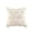 B001- Beige, variant on Throw Pillow Cover, Plush Halloween Fall Decor Pillow Case, Embossed Pumpkin Leaf Couch Pillow, Orange 18X18 Inch Fall Decor for Home, No Filler Included, Cozy Fuzzy Square