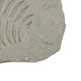 thumbnail image 4 of Concrete Fossil Accent Stone with Fern Leaves Imprint, Gray- Saltoro Sherpi, 4 of 5
