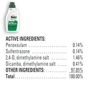 Roundup For Lawns₅ Concentrate (Southern), Weed Killer 32 oz.