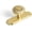 Brushed Brass, variant on Solid Brass Cabinet Knob with Backplate, Brushed Brass Pumpkin Drawer Pull for Kitchen, Bathroom Handle, 6 Pack