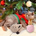 thumbnail image 5 of Paquete de piezas Lindo gato Juguete Pluma Sisal Bola Gatito Juguete interactivo Juguete interior MFZFUKR BST3001892-2, 5 of 5