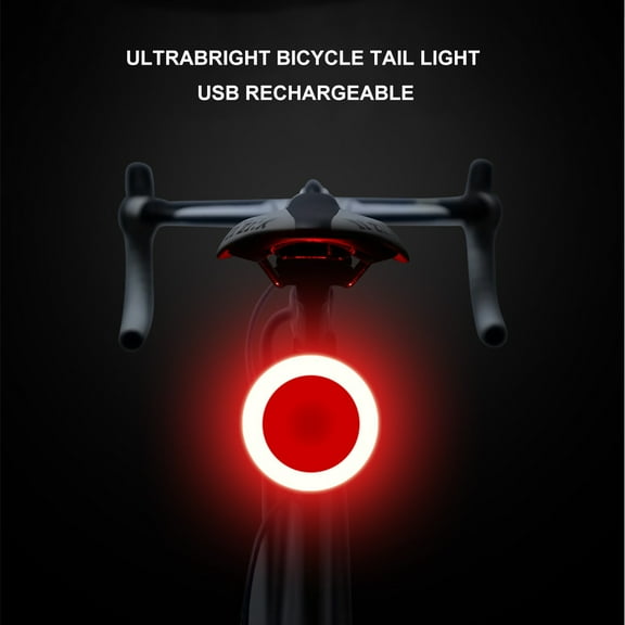 FZFLZDH Waterproof Bicycle Bike LED USB Rechargeable Tail Light Smart Brake Rear Lamps