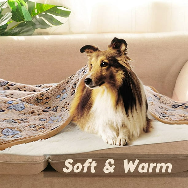 1 Pack 3 Dog Puppy Blanket Small Couch Soft Fleece Pet Cat Throw Blankets Warm Paws Bed Car Washable Chew Proof Brown