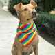 thumbnail image 4 of 2 piezas, babero con capucha transpirable, capucha para perro arcoíris, collar para perro del Día del Orgullo, collar para mascota gato, 4 of 5