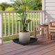 thumbnail image 1 of unbranded 2Ud Bandejas Para Plantas Negros De Material PP Con Durabilidad Para Uso En Casa, 1 of 8