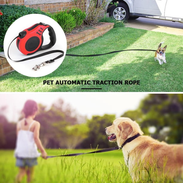 Correa retráctil del perro de la correa de tracción flexible automática para la pequeña mascota media Hugtrwg Para estrenar