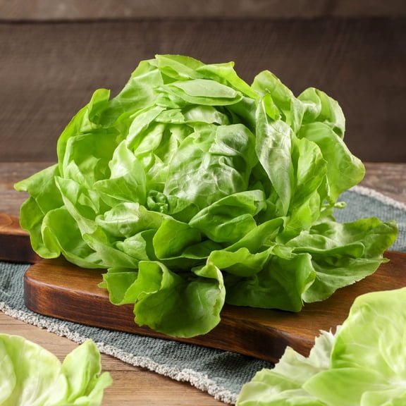 Mr Fothergill's Lettuce Butterhead Oh Sow Simple Vegetable Seed Easy to Grow