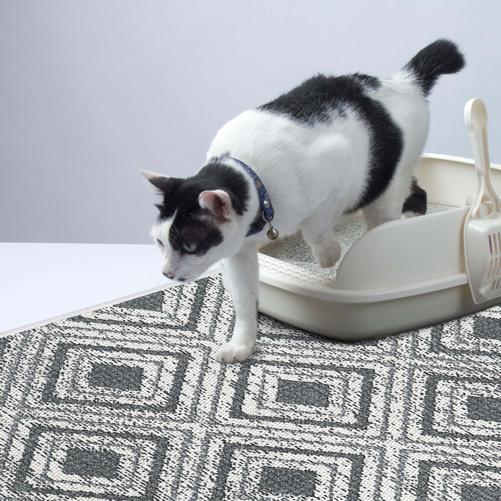 SussexHome Pets UltraThin Cat and Dog Litter Mat for Litter Box