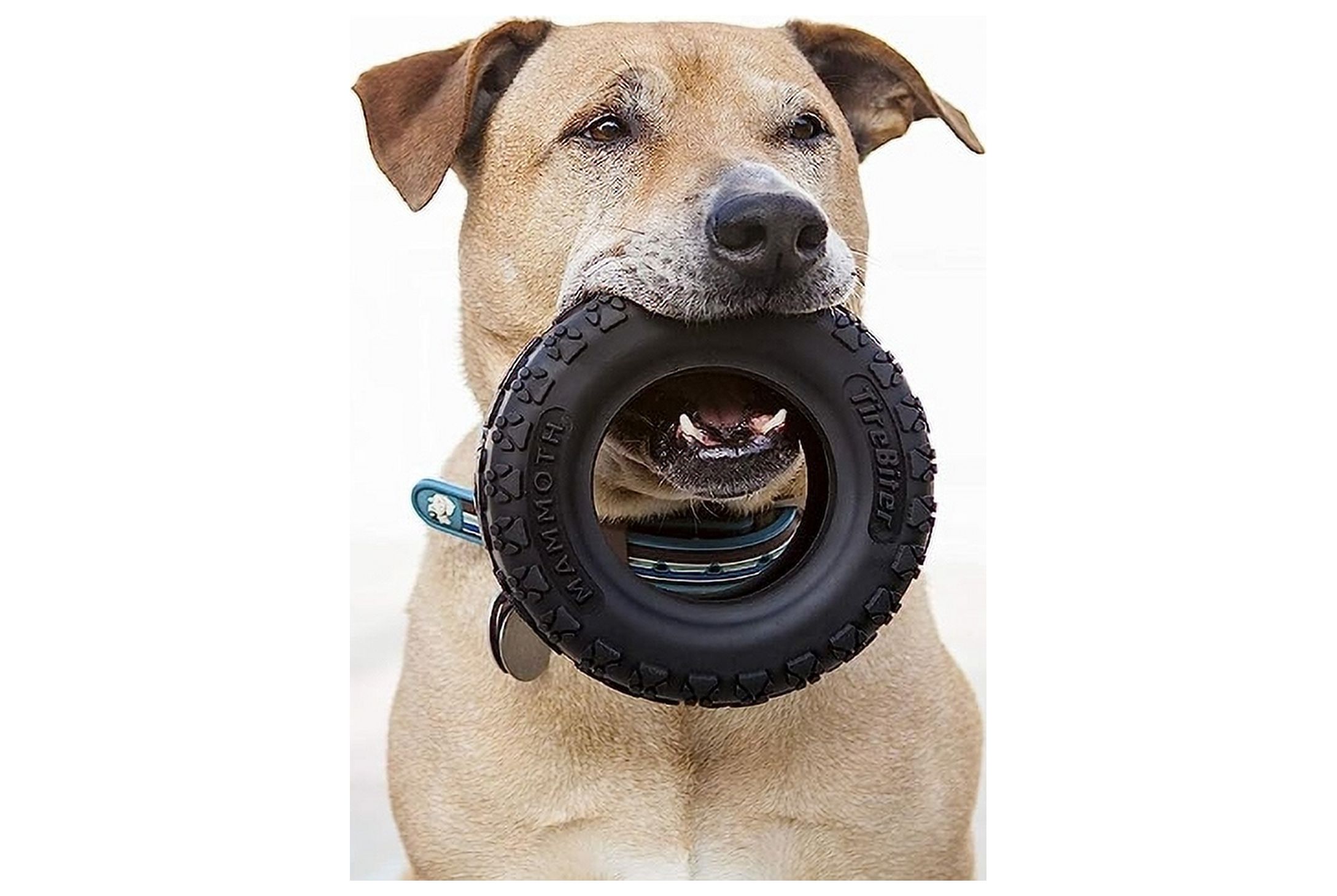 Mammoth TireBiter II Natural Rubber Dog Toy