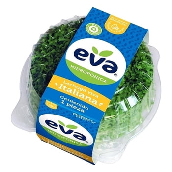 Lechuga Italiana Eva Hidropónica 1 Pieza