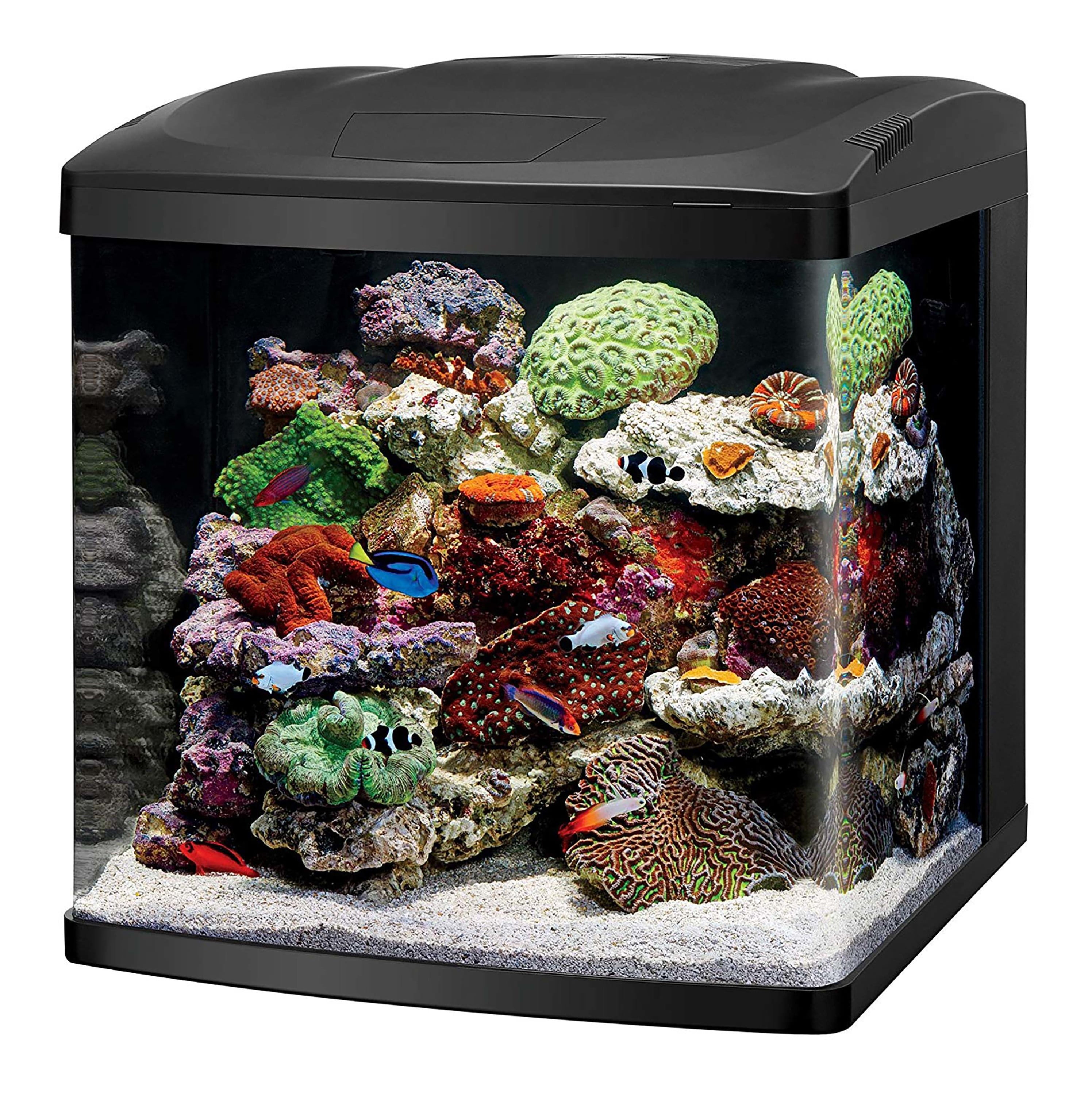 aquarium black light walmart aquarium black light walmart