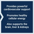 thumbnail image 6 of Life Extension Super Ubiquinol CoQ10 with Enhanced Mitochondrial Support, shilajit, heart health & cellular energy production support, ultra-absorbable, gluten-free, 60 softgels, 6 of 11