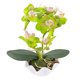 thumbnail image 1 of Artificial Orchid Bonsai with Pot Realistic Fake Phalaenopsis Flower for Home, Office, Wedding, and Indoor Decoration – Greenery for Living Room, 1 of 3