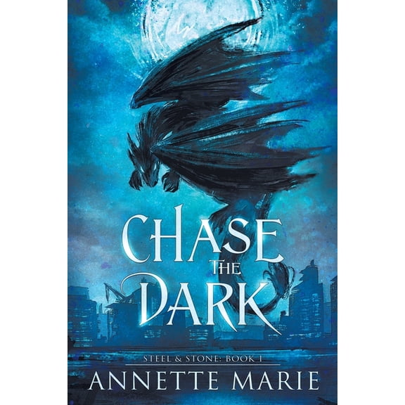 Steel & Stone Chase the Dark, Book 1, (Paperback)