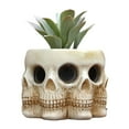 thumbnail image 3 of Skull Flower Pot, Versatile Skull Plant Holder  for Garden for Home, 3 of 8