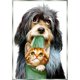 thumbnail image 1 of Cuadros Decorativos Perro gato diamante 5D DIY diamante pintura foto bordado punto de cruz decoración JShteea Nuevos Originales, 1 of 8