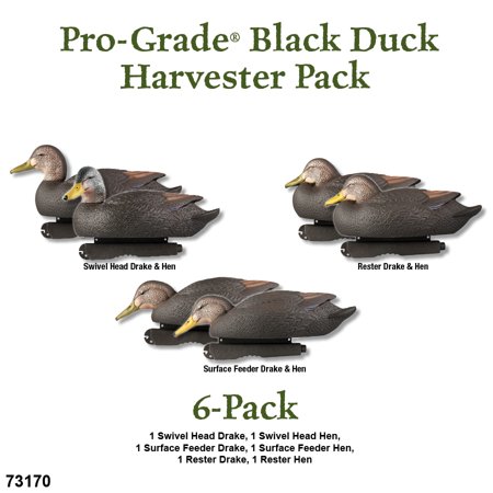 Avery Ghg Pg Pre Rigged Black Duck Harvester Decoys Pk 6