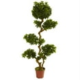 thumbnail image 1 of Nearly Natural 5393 5 ft. Pittispourm UV Resistant - Indoor-Outdoor, 1 of 1