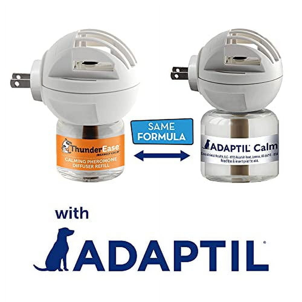 apacs THUNDERDOME6.2 3本セット apacs THUNDERDOME6.2 3本セット