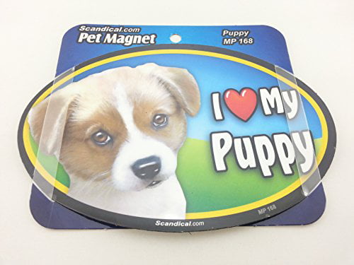 my Mastiff Dog 6"x4" Oval Dog Magnet I Heart 