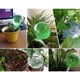 thumbnail image 5 of 6 piezas dispositivo de riego automático globos vacaciones planta de interior maceta bombillas jardín bebedero flor agua goteo dispositivo de riego sistema de riego automático, 5 of 5