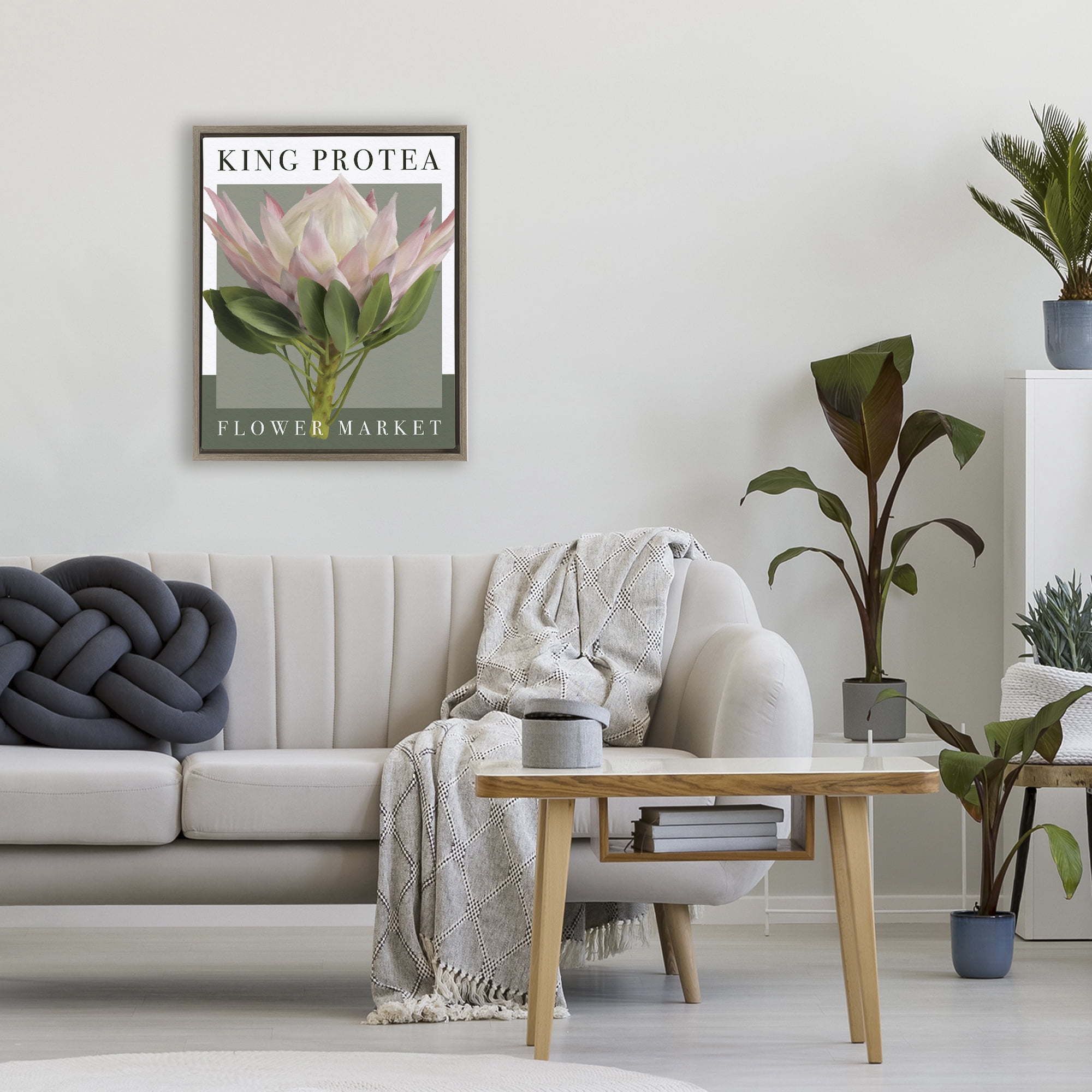 Stupell Industries King Protea Flower Market Brown Framed Floater Canvas Wall Art, design by Jennifer Stith