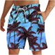 thumbnail image 1 of Pantalones Cortos Casuales de los Hombres Impresos Pantalones de Playa con Cordón de Bolsillo Deportivos, Poliéster Ligero para Primavera Verano Al Aire Libre Y Diario, 1 of 1