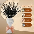 thumbnail image 5 of ELAYARD 20Pcs Simulation Eucalyptus Stems Black Faux Plant Ornaments for Elegant Vase Decoration, 5 of 5