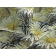 thumbnail image 3 of Ambesonne Floral Quilted Bedspread Set 3 Pcs, Abstract Art Style Asters, Twin, Mustard Khaki Black, 3 of 4