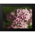 thumbnail image 2 of Bonin, Suzanne 14x12 Black Modern Framed Museum Art Print Titled - Delicate Beauties, 2 of 5
