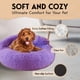 thumbnail image 5 of Cama De Algodón Para Mascotas Cama suave a cuadros para gatos, portátil y lavable, ideal para perros pequeños y medianos (40x40x21cm), 1 unidad, color morado Rkxzt, 5 of 8