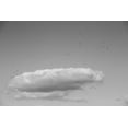 thumbnail image 2 of Aledanda 32x23 White Modern Wood Framed Museum Art Print Titled - Flock in Flight, 2 of 4
