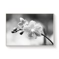 thumbnail image 2 of wall26 Framed Canvas Wall Art for Living Room, Bedroom Flower Closeup II Canvas Prints for Home Decoration Ready to Hang - 16x24 inches, 2 of 4