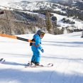 thumbnail image 3 of OULII 1Set Adjustable Ski Training Harness with Sturdy Material for Outdoor Skiing Safety, 3 of 8