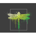 thumbnail image 2 of Natural World Paint Splatter Dragonfly Crew Neck Short Sleeve Adult T-shirt
-Medium-Charcoal, 2 of 3