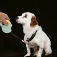 thumbnail image 4 of unbranded Correa Para Perro Retráctil Con Automático Para Y Cómodo, 4 of 8