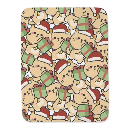 Christmas Gift Cat Blanket -Image by Shutterstock,