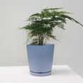 thumbnail image 2 of Huanglei Small Flower Pot Thickened Plastic Small Pot With Tray Garden Breathable Pot, 2 of 4