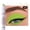 A05#   Lime Green Matte Eye Stick, variant on Dual Texture Matte Shimmer Eyeshadow Stick by Julystar, 17 Multi Tone Shades Silky Smooth Non-Caking Transfer Proof Long Wear Multi-Use Eye Crayon All Skin Tones