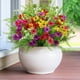 thumbnail image 5 of Flores artificiales Turnmeon, 16 paquetes, 7 estilos, para el verano, 5 of 7