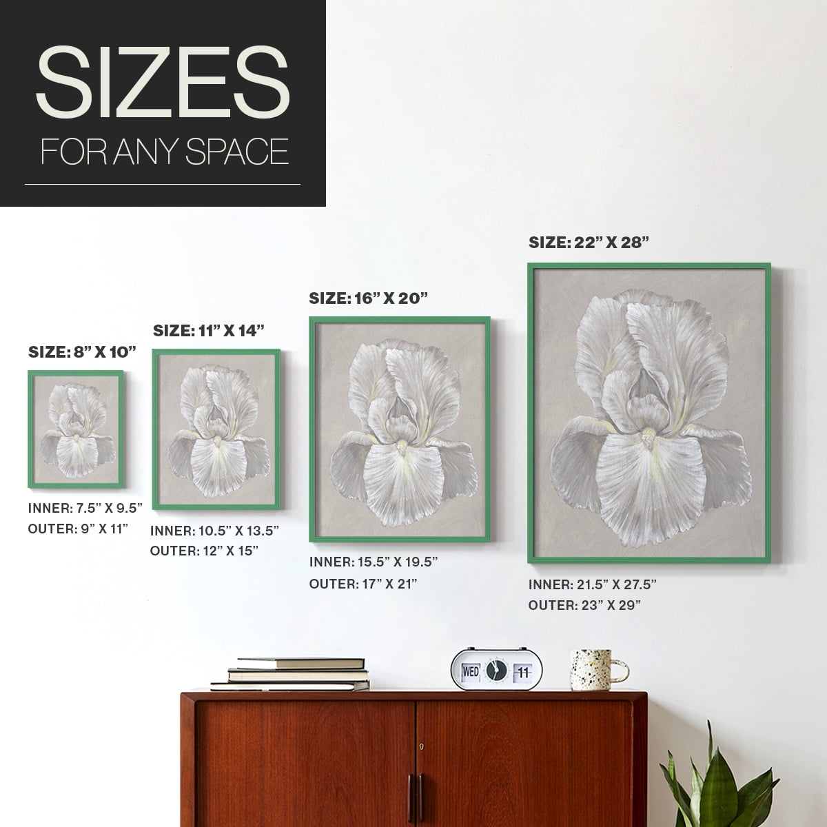 White Iris I Framed Print in Green Solid Wood 11 x 14 Framed Print