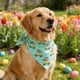 thumbnail image 4 of Ropa y accesorios de Pascua para mascotas, babero para mascotas, bufandas para mascotas con estampado de conejos y huevos de Pascua, decoraciones de Pascua ajustables, adecuadas para mascotas pequeñas, 4 of 6
