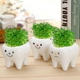 thumbnail image 3 of 3pcs Teeth Shaped Small Flowerpot Ceramics Succulents Pots Cactus Plant Pots, 3 of 6