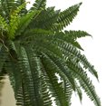 thumbnail image 4 of Nearly Natural 25" Plastic/Polyester Boston Fern Artificial Plant in Decorative Urn, Green, 4 of 5