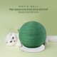 thumbnail image 4 of Rascador Para Gatos, Cactus Verde, Sisal Natural, Tablero Para Rascar Gatos, Pelota De Juguete Interactiva, Torre De Actividades Para Gatos, Base Estable Para Gatos, Gatitos Y Mascotas Moyic PT001411-01, 4 of 6