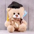 thumbnail image 2 of Oso Osito De Peluche Teo Graduado Premium Pelucheria Color Beige, 2 of 5